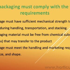 Packaging Material PPT